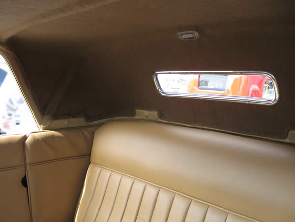 Photo of Terry's interior shows our headliner and dome light.